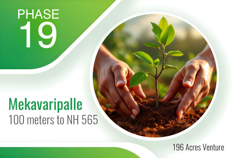 Mekavaripalle – 19th Phase Red Sandalwood Farmland Project
